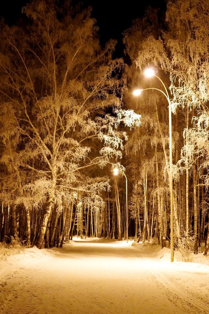 Рождественская аллея