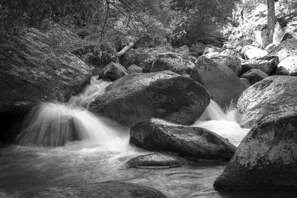 Photograph by Alex Dushutin