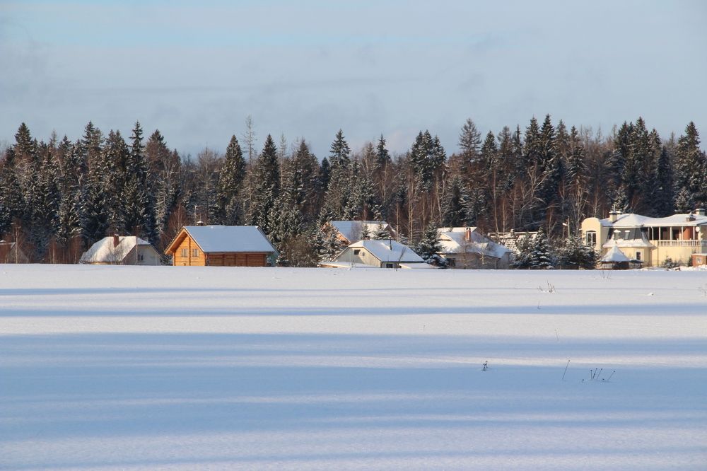 Тени на снегу