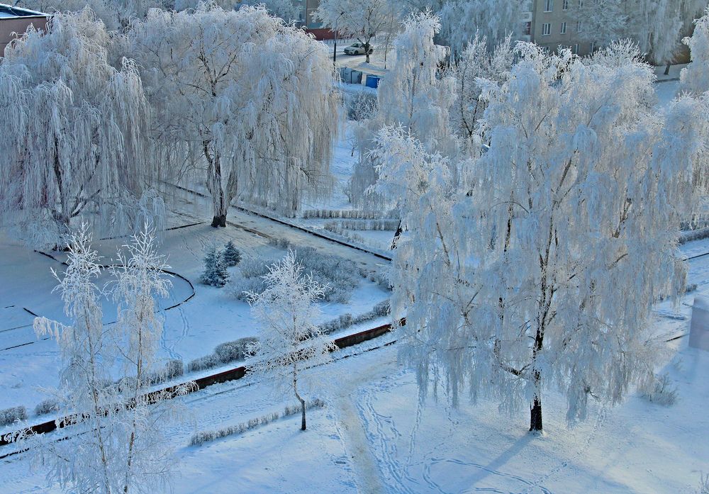 Зима-красавица.