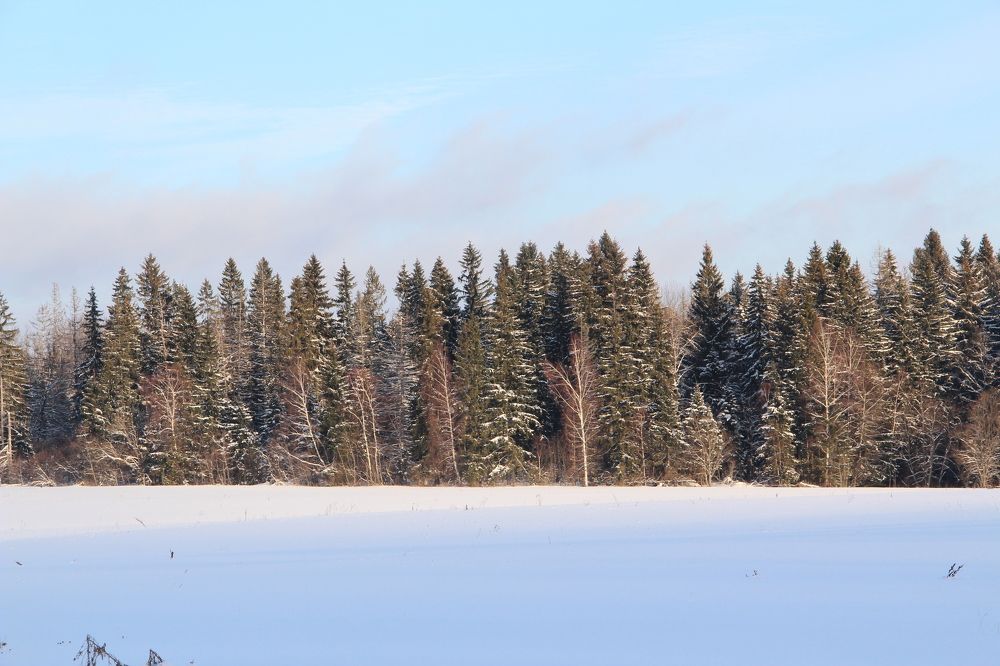 Зимние акварели