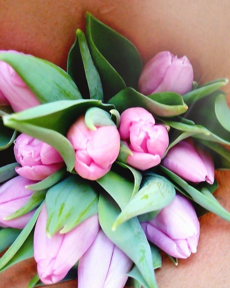 Photograph by Фролова Диляра