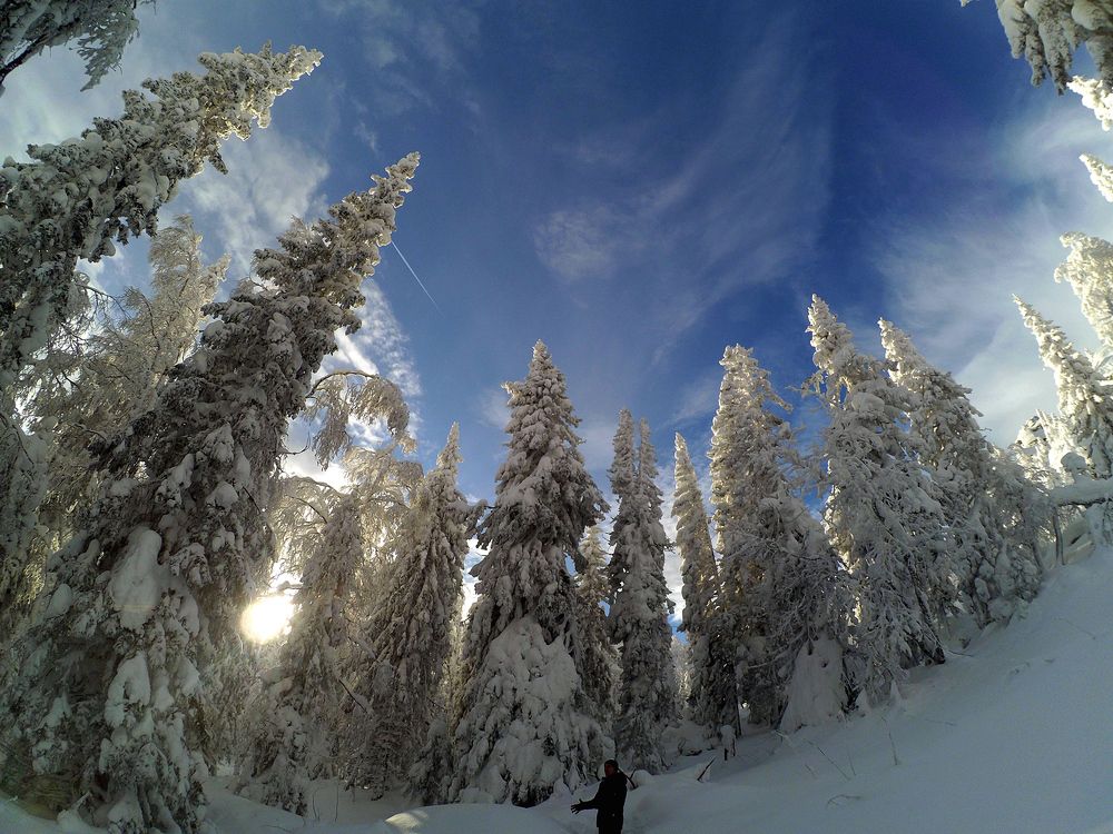 Зимний лес На Таганае