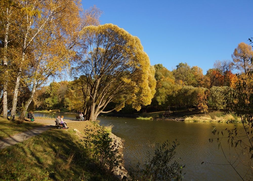 Осень в городе