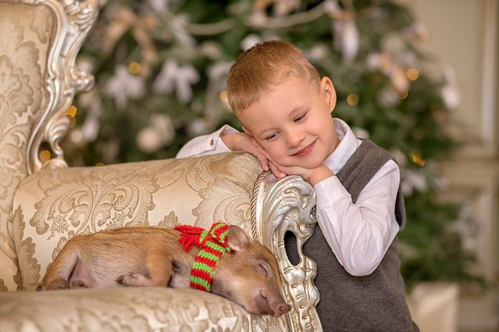 Photograph by Сидорова Ирина