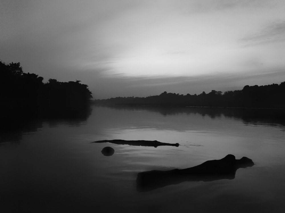 The silent environment