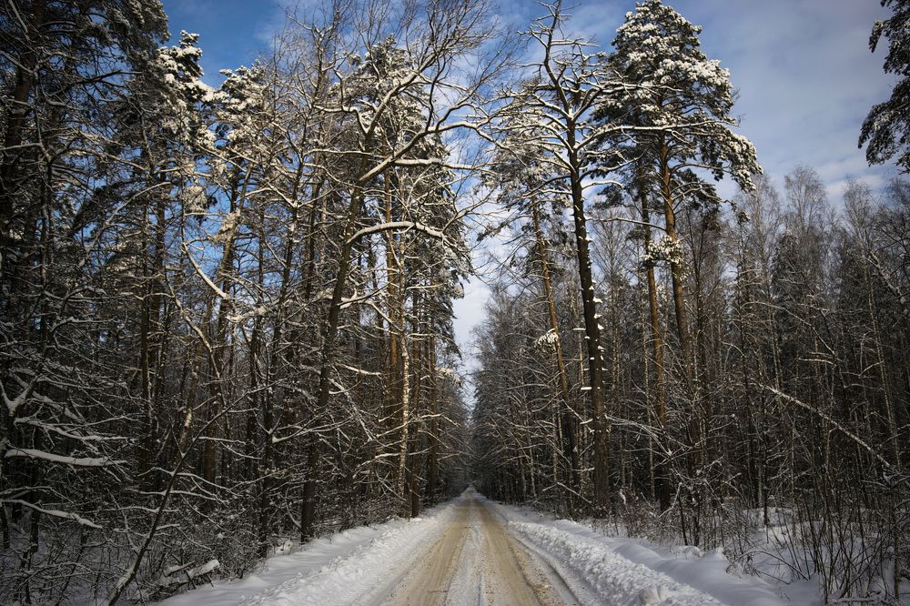 Зимняя дорога