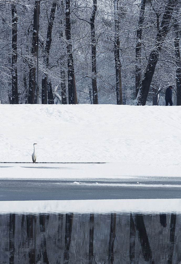 Нежданный гость.