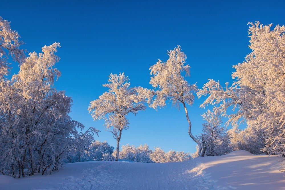 В оковах мороза