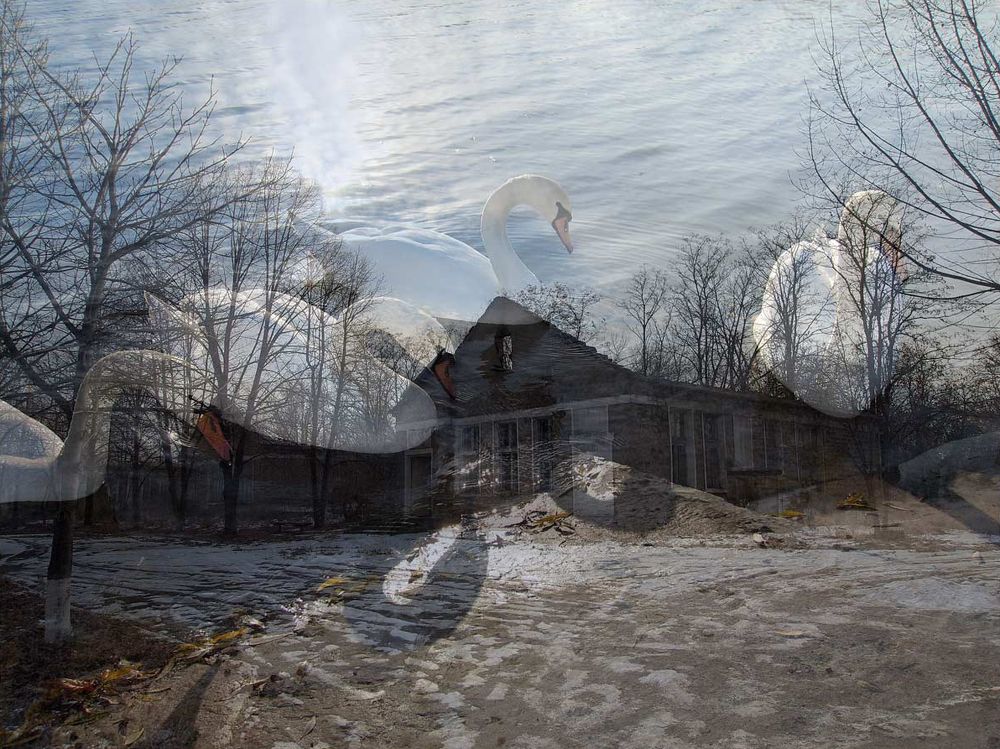 Про Донбасс.