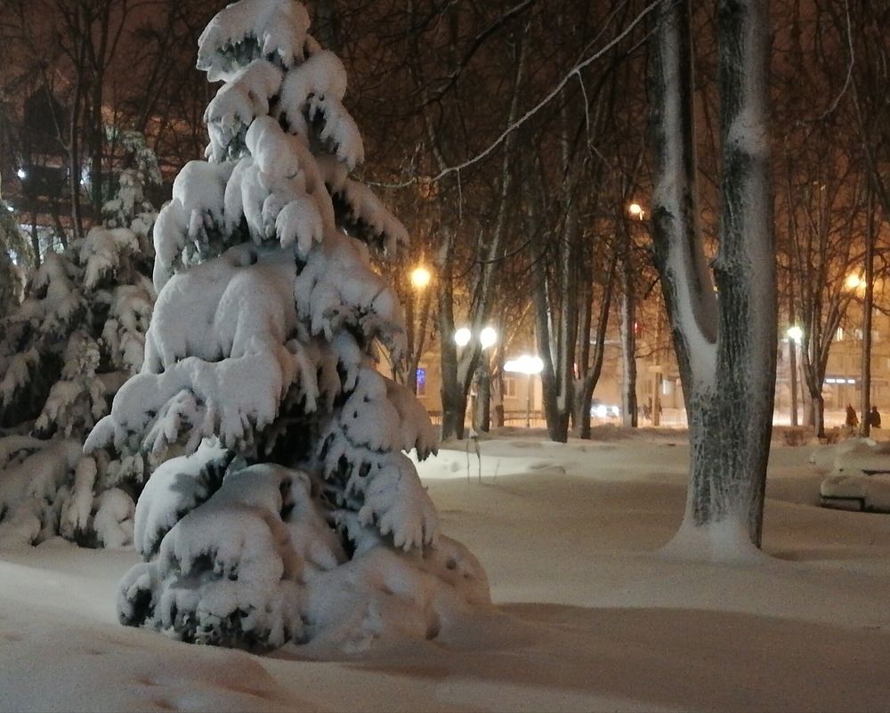 Зима. Пришла и говорю
