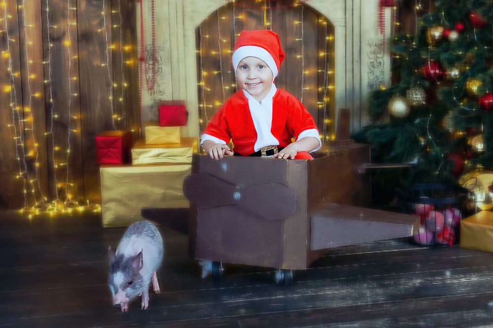 Летчик Дед Мороз и его помощница свинка)