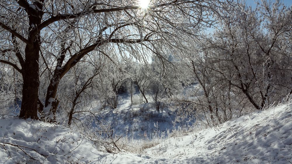 зимнее солнце