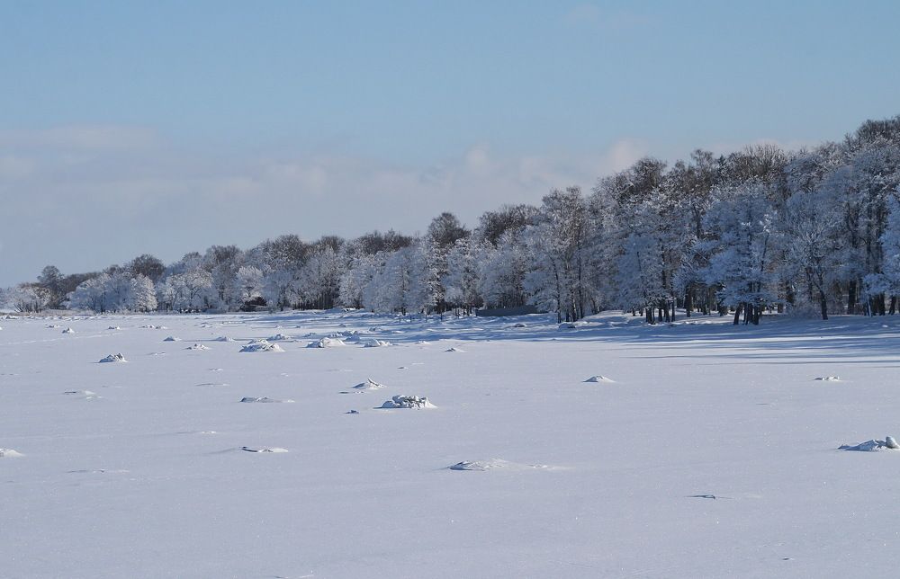 Берег Петергофа