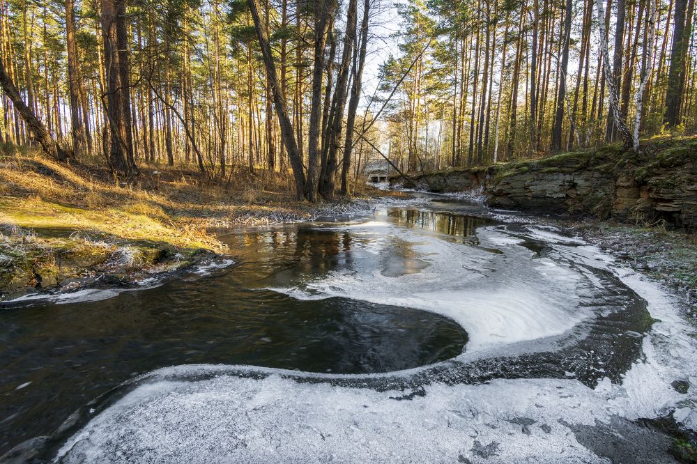 Лесная речка
