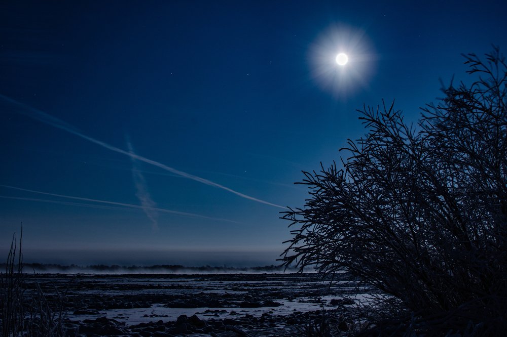 Лунная ночь..