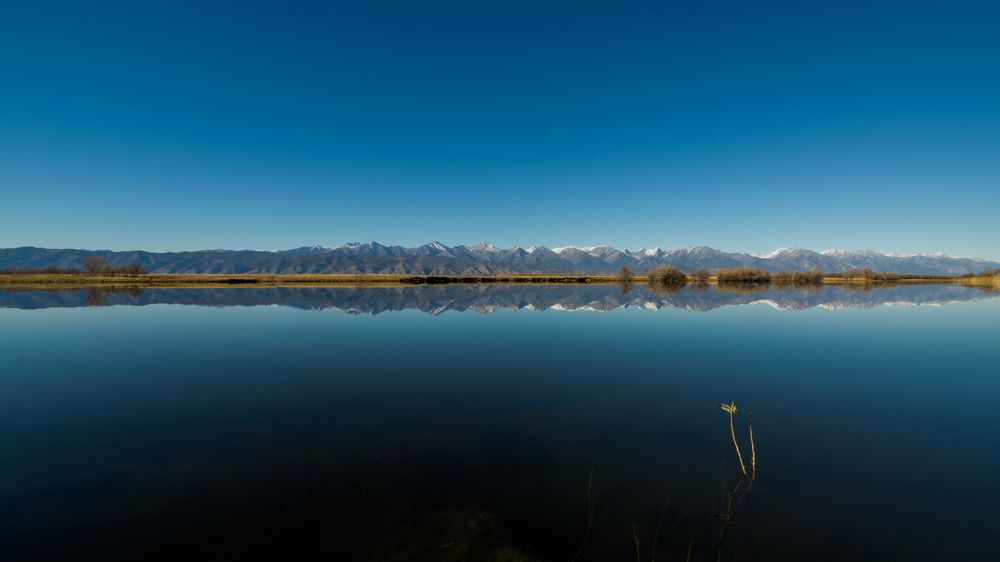 Минимализм.