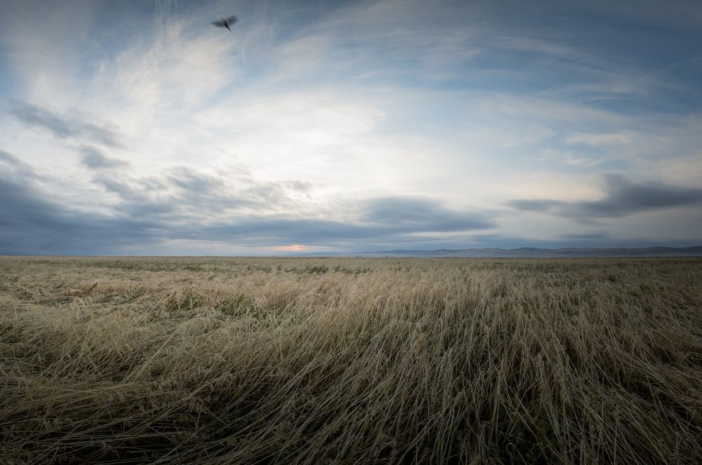 В круговороте.