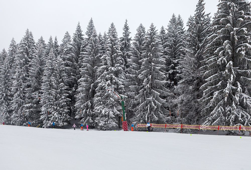 Photograph by Alex Perelman