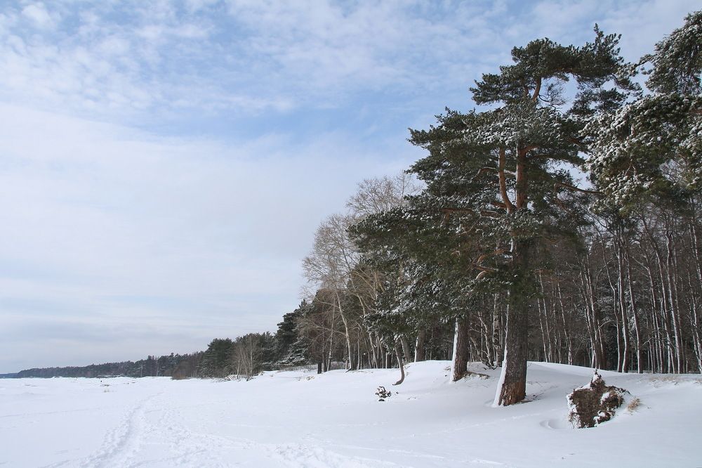 Комаровский берег