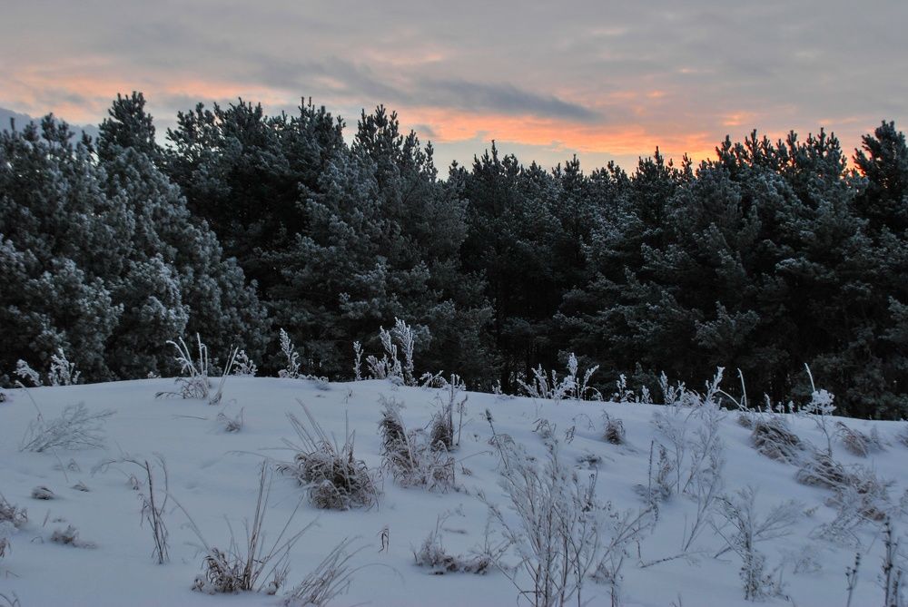 Photograph by Наталья Яновская