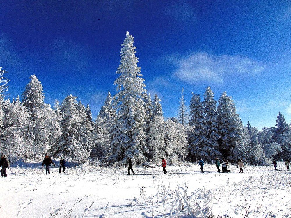 дорога к Уреньге