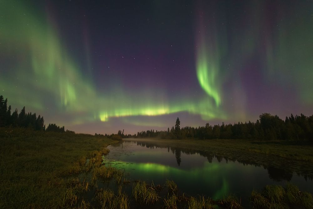 Ночные краски сентября
