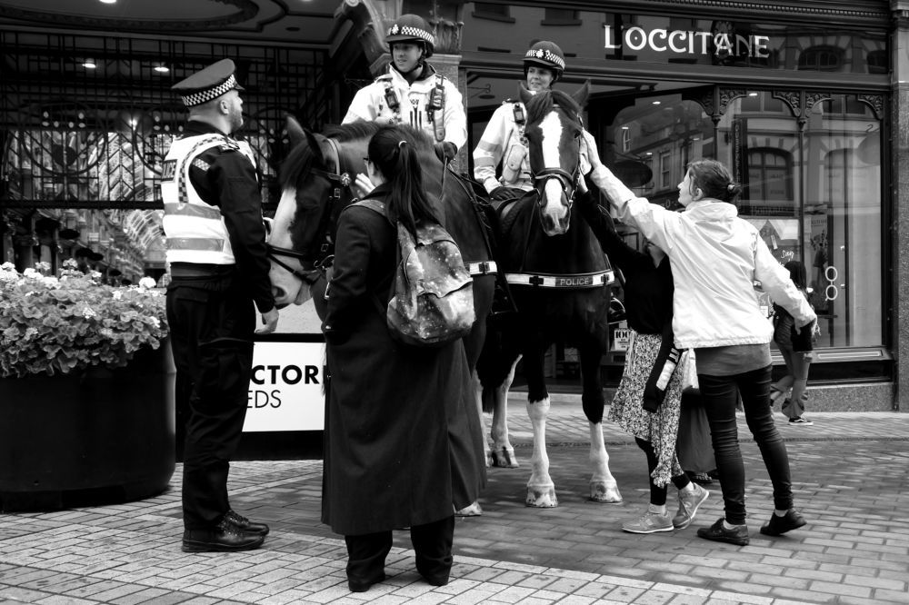 We are all human beings