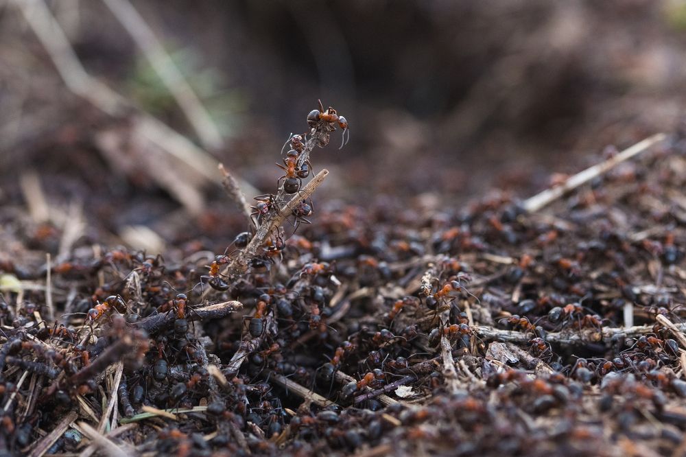Первый день после зимы