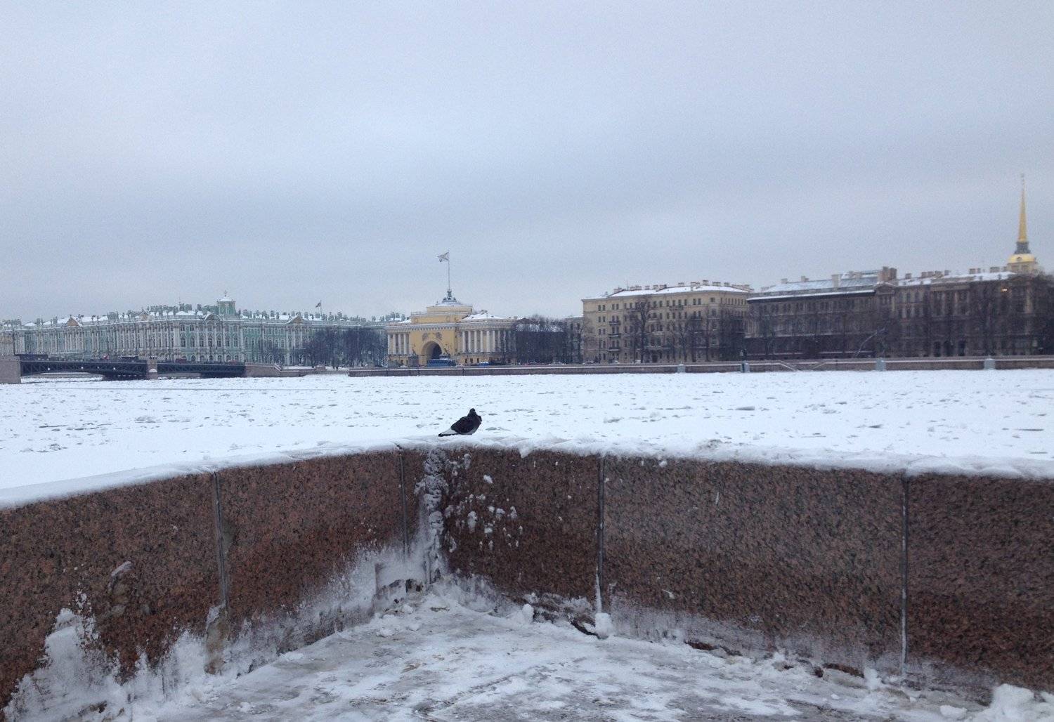 Символ мира, чистоты, любви и надежды в Петербурге
