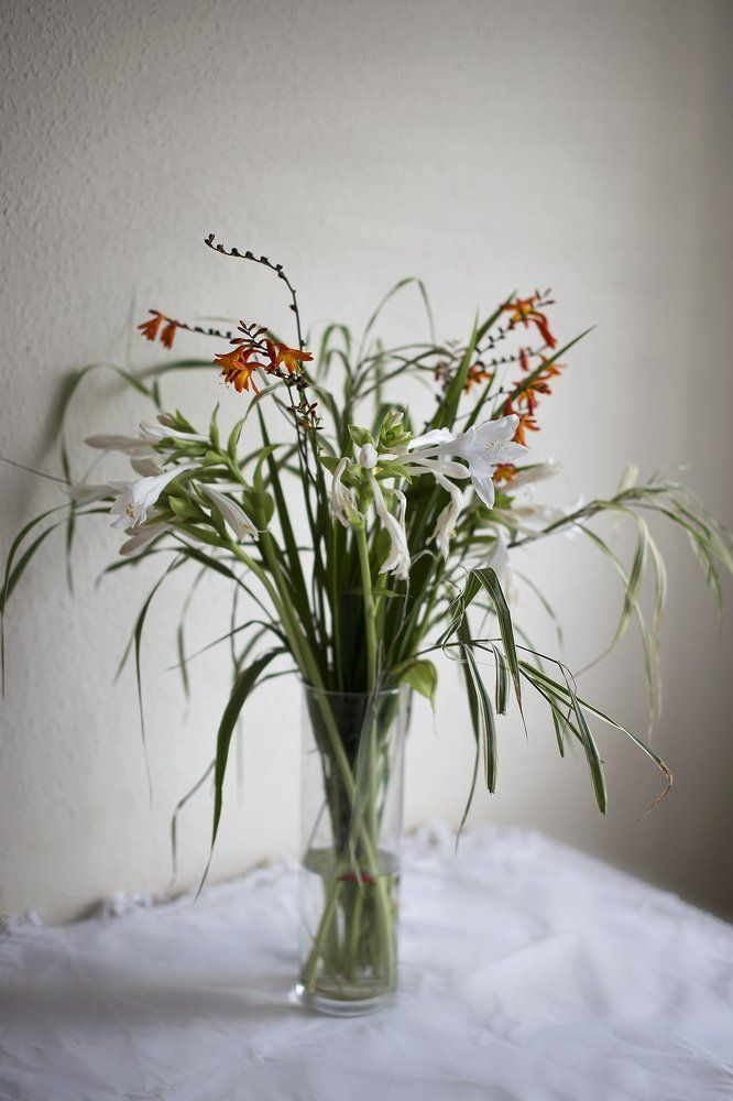 Photograph by Анастасия Ярмак