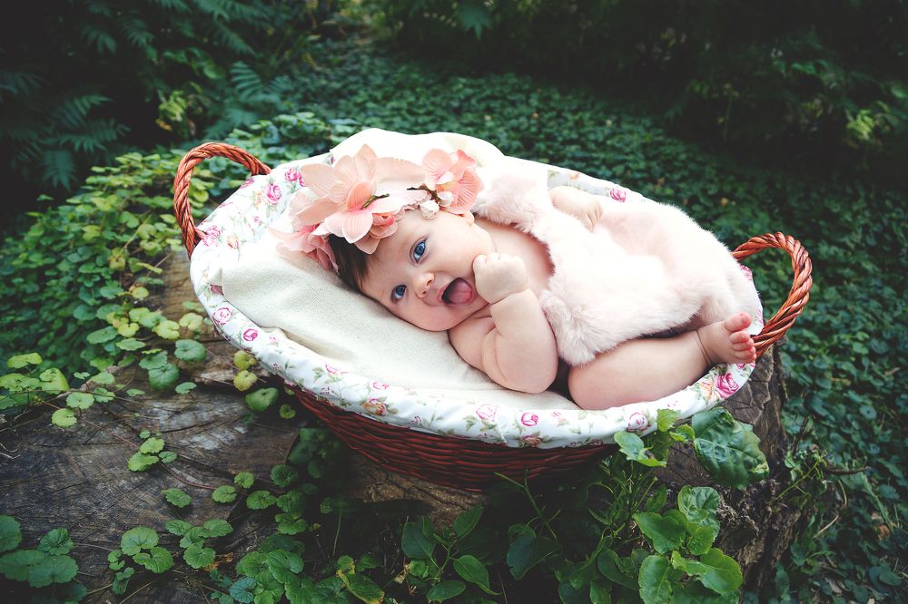 Весенний подарок