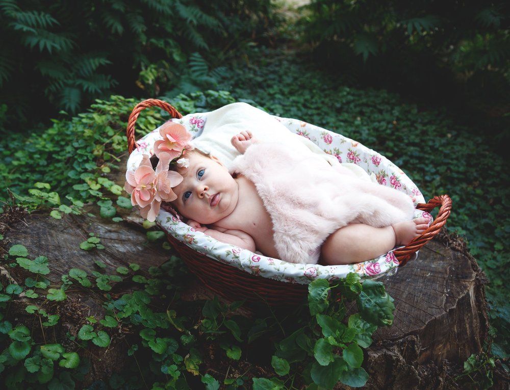 Весенний подарок