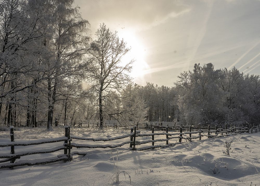 Мороз и солнце