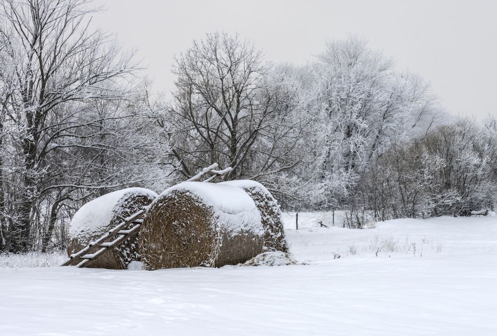 Зимний этюд