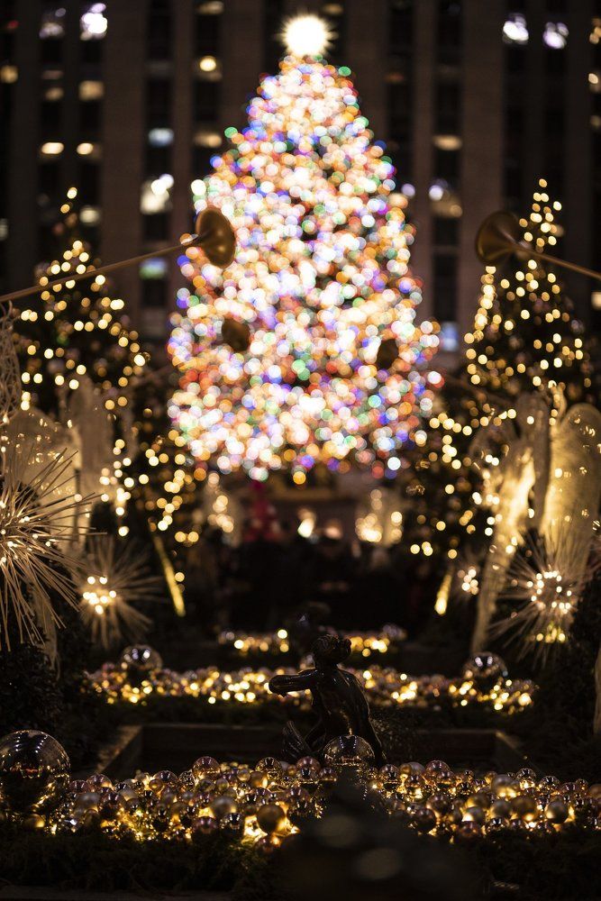 The most important Christmas Tree in the world.