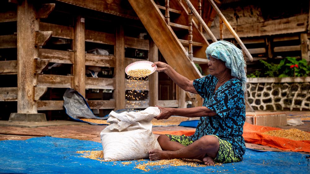 Make sure the Quality