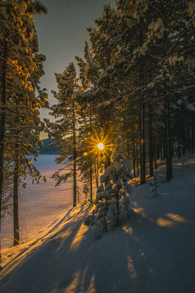"Провожая закат"