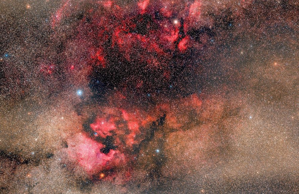 North America and others