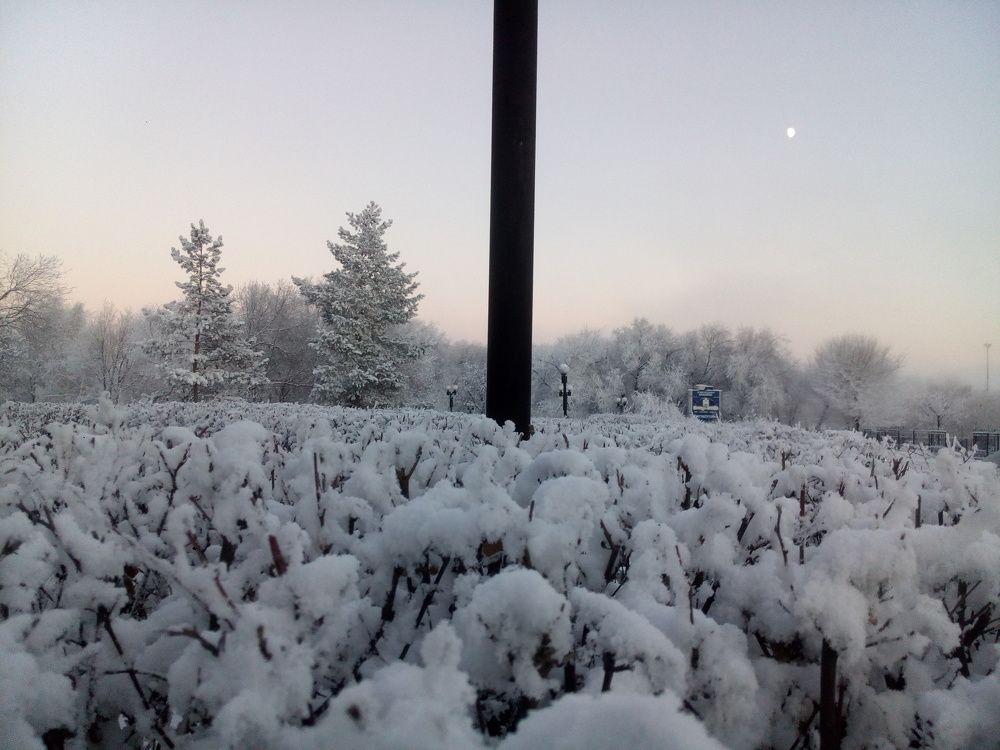 When the days are cold