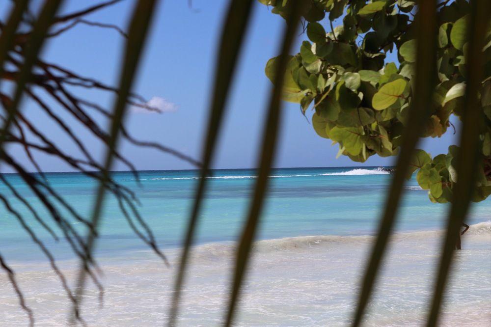 Голубая лагуна