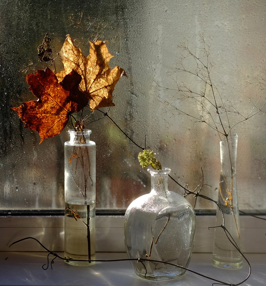 Photograph by Наталья Никитина