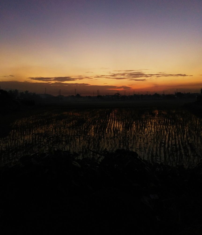 Photo #2799404