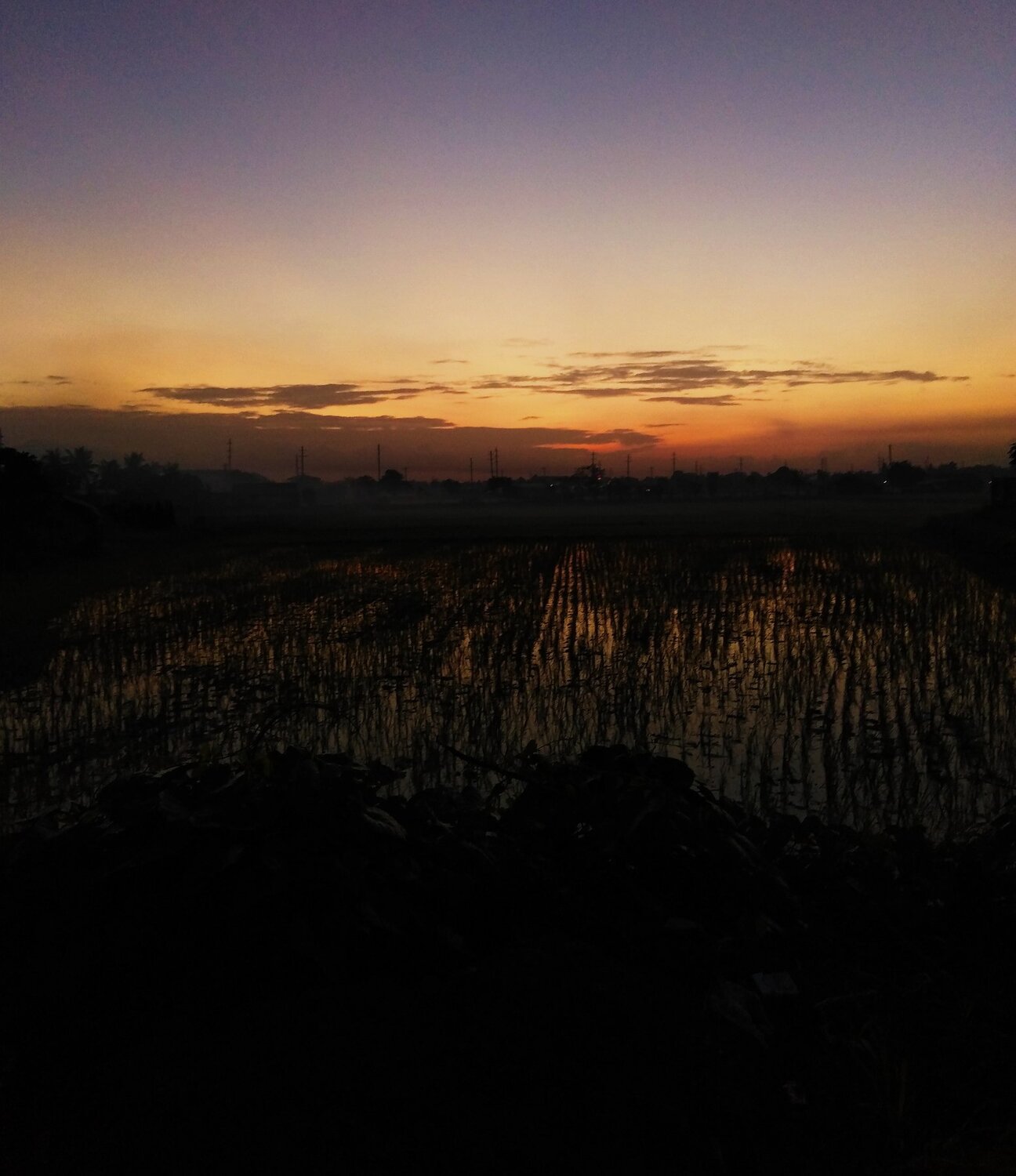 Photo #2799404