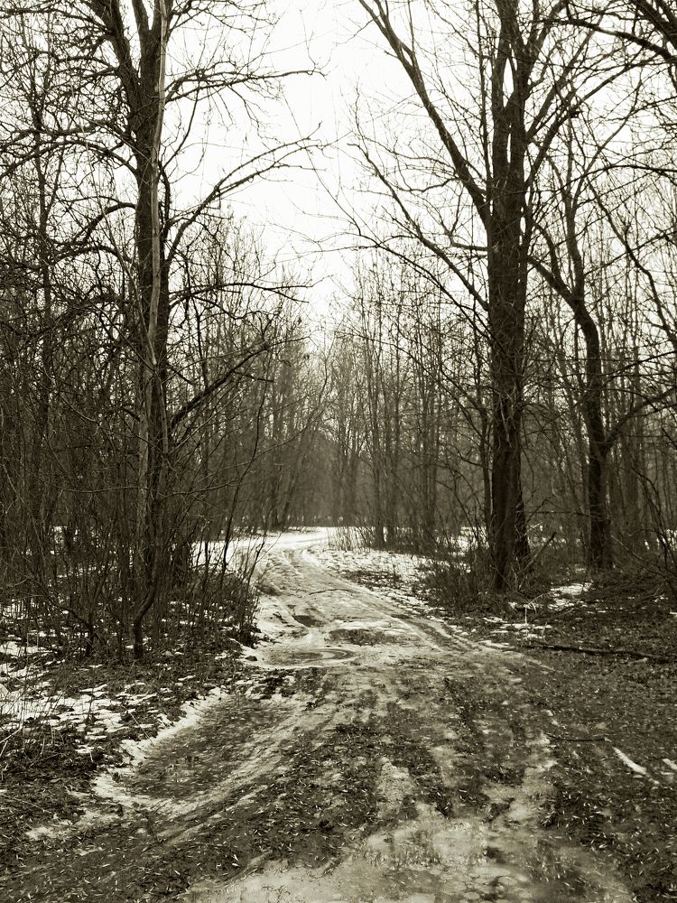 Photograph by Евгений Козлов