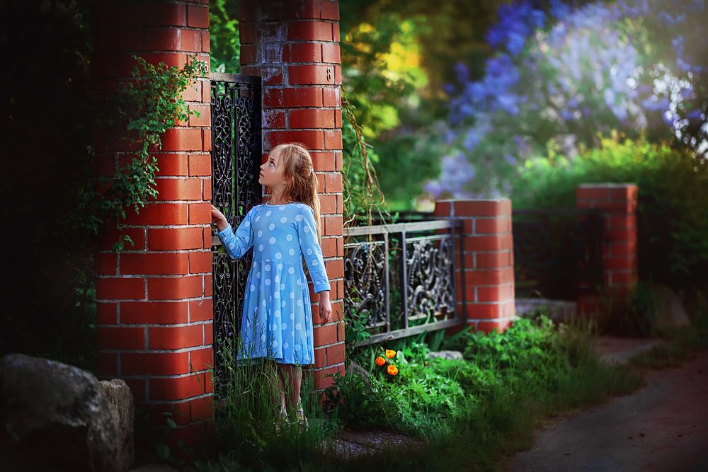 Таинственный сад