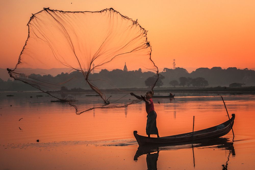 throwing the net out