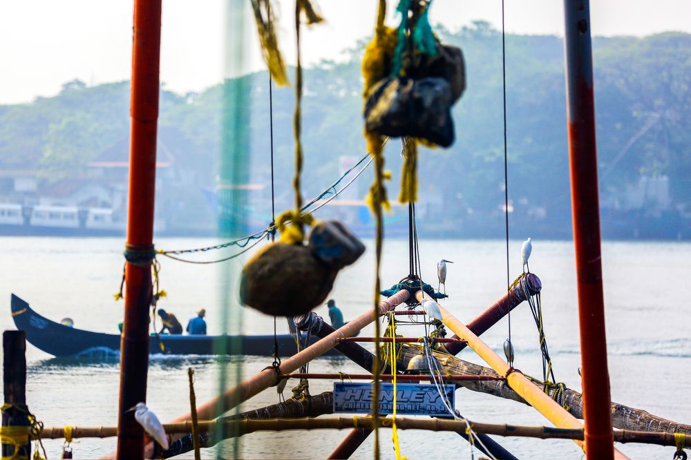 life between the lines