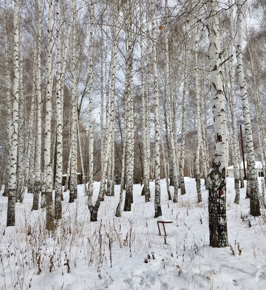 Photograph by Анар Амирова