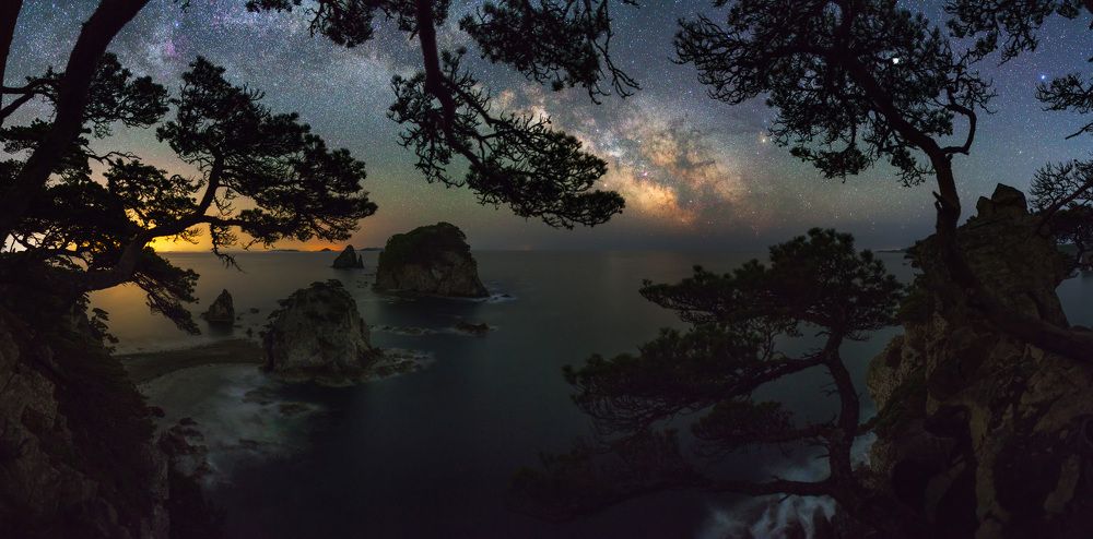 В сосновом обрамлении